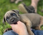 Small #6 Breeder Profile image