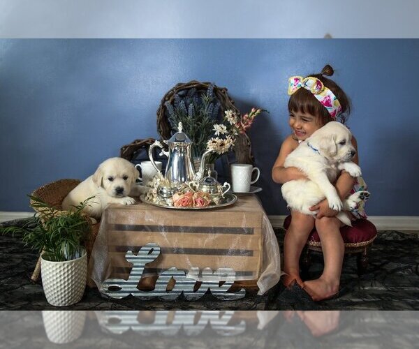 Medium Photo #21  Breeder Profile in URBANA, OH, USA