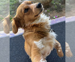 Small #9 Breeder Profile image