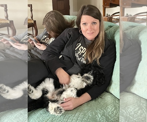 Medium Photo #70  Breeder Profile in BAYTOWN, TX, USA