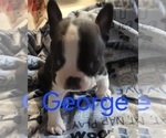 Small #2 Breeder Profile image
