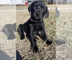Small #23 Breeder Profile image