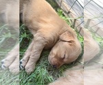 Small #25 Breeder Profile image