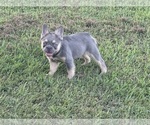 Small #15 Breeder Profile image