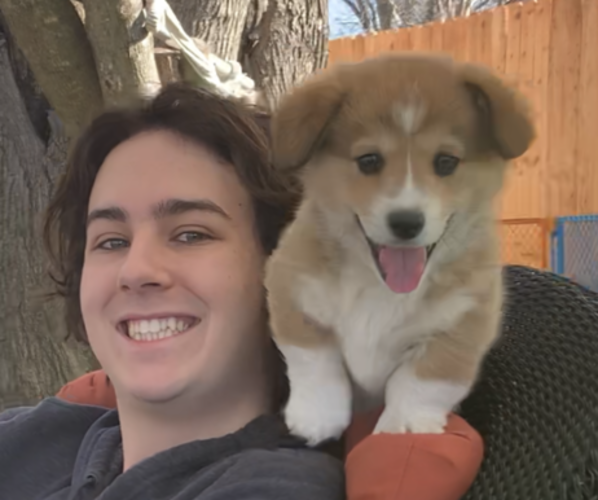 Medium Photo #43  Breeder Profile in MIDLOTHIAN, TX, USA