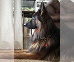Small #5 Breeder Profile image
