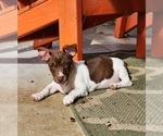 Small #5 Breeder Profile image