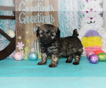 Small #28 Breeder Profile image