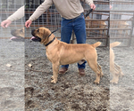 Small #22 Breeder Profile image