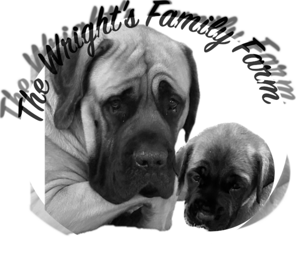 Medium Photo #1  Breeder Profile in OLATHE, KS, USA