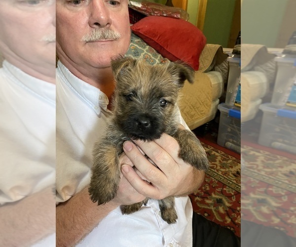 Medium Photo #1  Breeder Profile in ROCKFORD, IL, USA