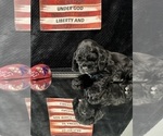 Small #14 Breeder Profile image