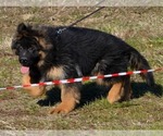 Small breeder photo