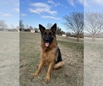 Small #12 Breeder Profile image