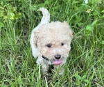 Small #5 Breeder Profile image