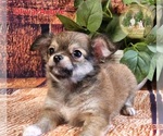 Small #88 Breeder Profile image