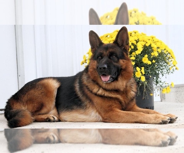 Medium Photo #1  Breeder Profile in HUMBOLDT, IA, USA