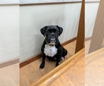 Small #14 Breeder Profile image