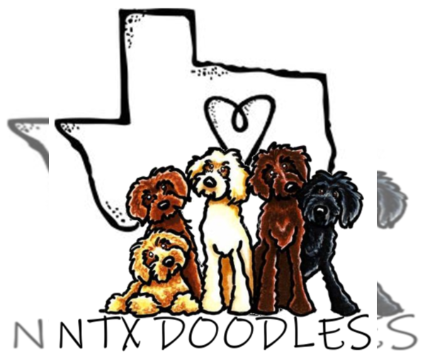Medium Photo #1  Breeder Profile in DENISON, TX, USA