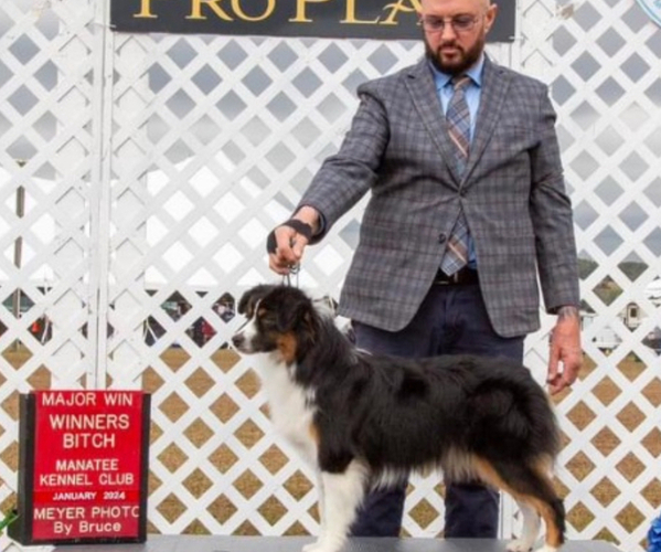 Medium Photo #26  Breeder Profile in NOLENSVILLE, TN, USA