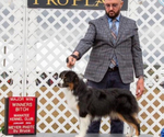 Small #25 Breeder Profile image