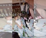 Small #7 Breeder Profile image