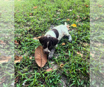 Small #1 Breeder Profile image