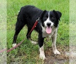 Small #84 Breeder Profile image