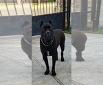 Small #3 Breeder Profile image