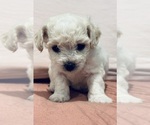 Small #8 Breeder Profile image