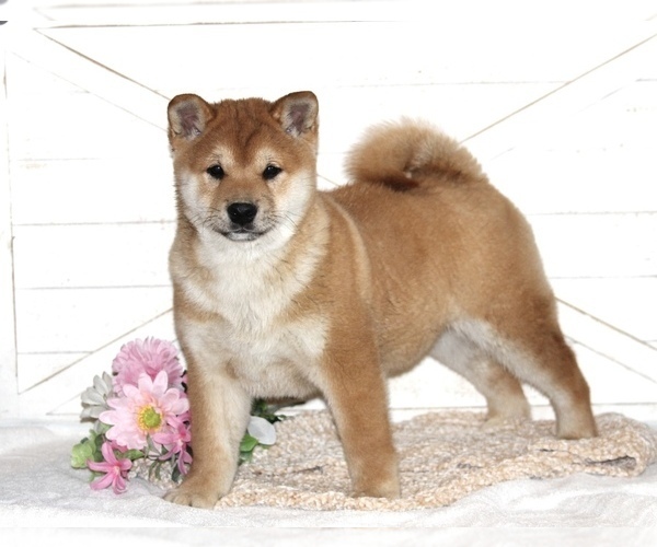 Medium Photo #1  Breeder Profile in PLATTEVILLE, WI, USA