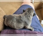 Small #8 Breeder Profile image