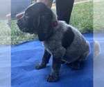 Small #6 Breeder Profile image