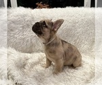 Small #1 Breeder Profile image