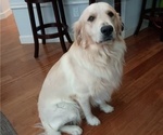Small #4 Breeder Profile image