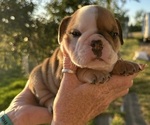 Small #7 Breeder Profile image