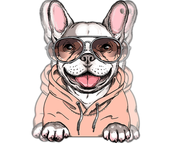 Medium Photo #1  Breeder Profile in FORT LAUDERDALE, FL, USA