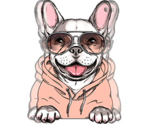 French Bulldog Dog Breeder near FORT LAUDERDALE, FL, USA