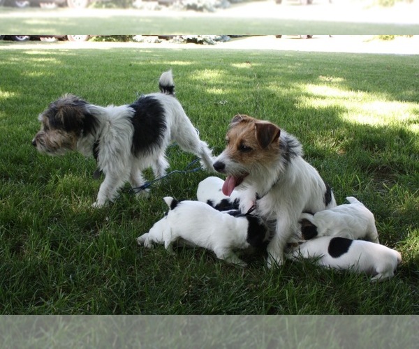 Medium Photo #1  Breeder Profile in MISSOURI VALLEY, IA, USA