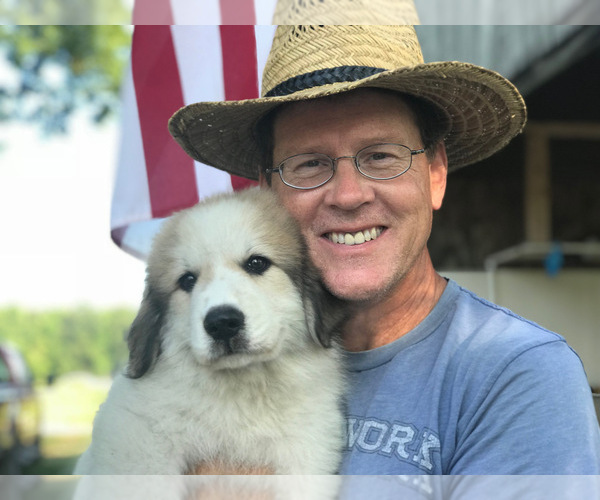 Medium Photo #1  Breeder Profile in SUFFOLK, VA, USA
