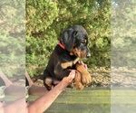 Small #5 Breeder Profile image