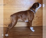 Small #2 Breeder Profile image