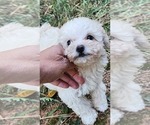 Small #5 Breeder Profile image