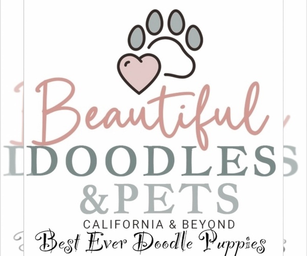 Medium Photo #56  Breeder Profile in BAKERSFIELD, CA, USA