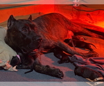 Small #3 Breeder Profile image