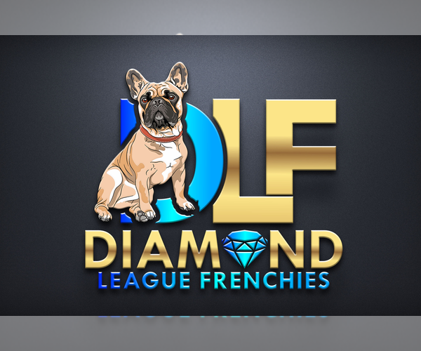 Medium Photo #1  Breeder Profile in PLANTATION, FL, USA