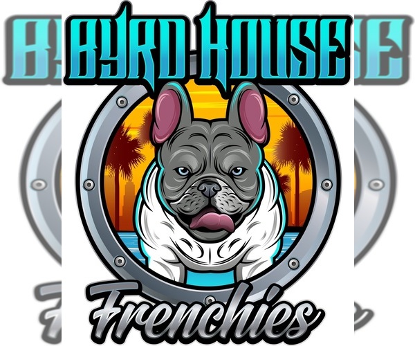 Medium Photo #1  Breeder Profile in TAMPA, FL, USA
