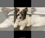 Small #5 Breeder Profile image