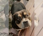 Small #23 Breeder Profile image