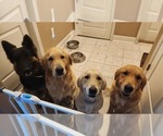 Small #4 Breeder Profile image